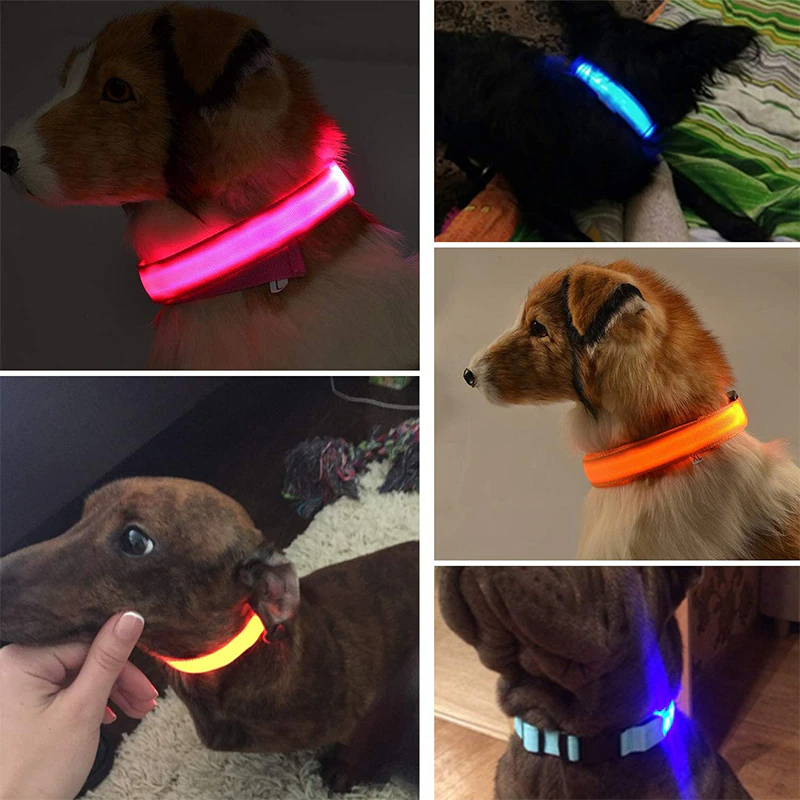 LED Adjustable Dog Collar — Glow Safety Collar for Dogs