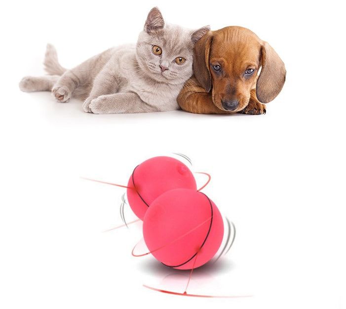LED Rolling Cat Toy Ball — Auto-Rotating Interactive Toy with Catnip & Lights