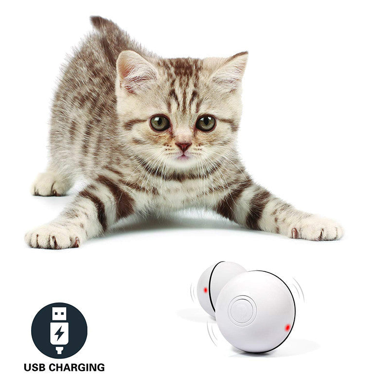 LED Rolling Cat Toy Ball — Auto-Rotating Interactive Toy with Catnip & Lights