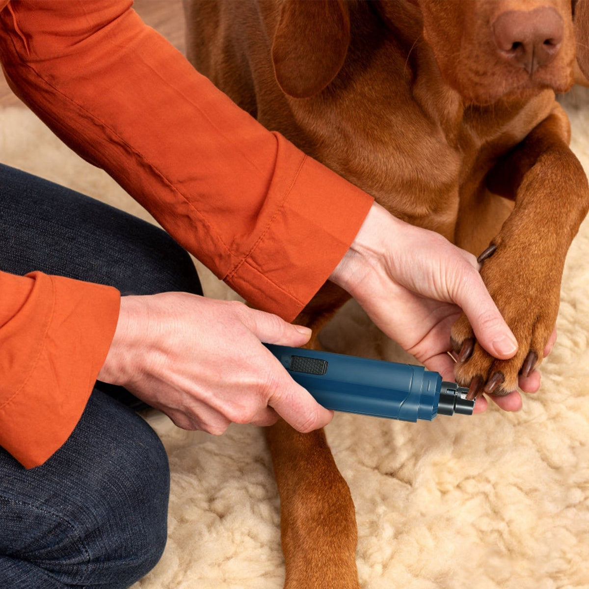 Quiet Dog Nail Grinder — USB Rechargeable 2-Speed Pet Nail Trimmer