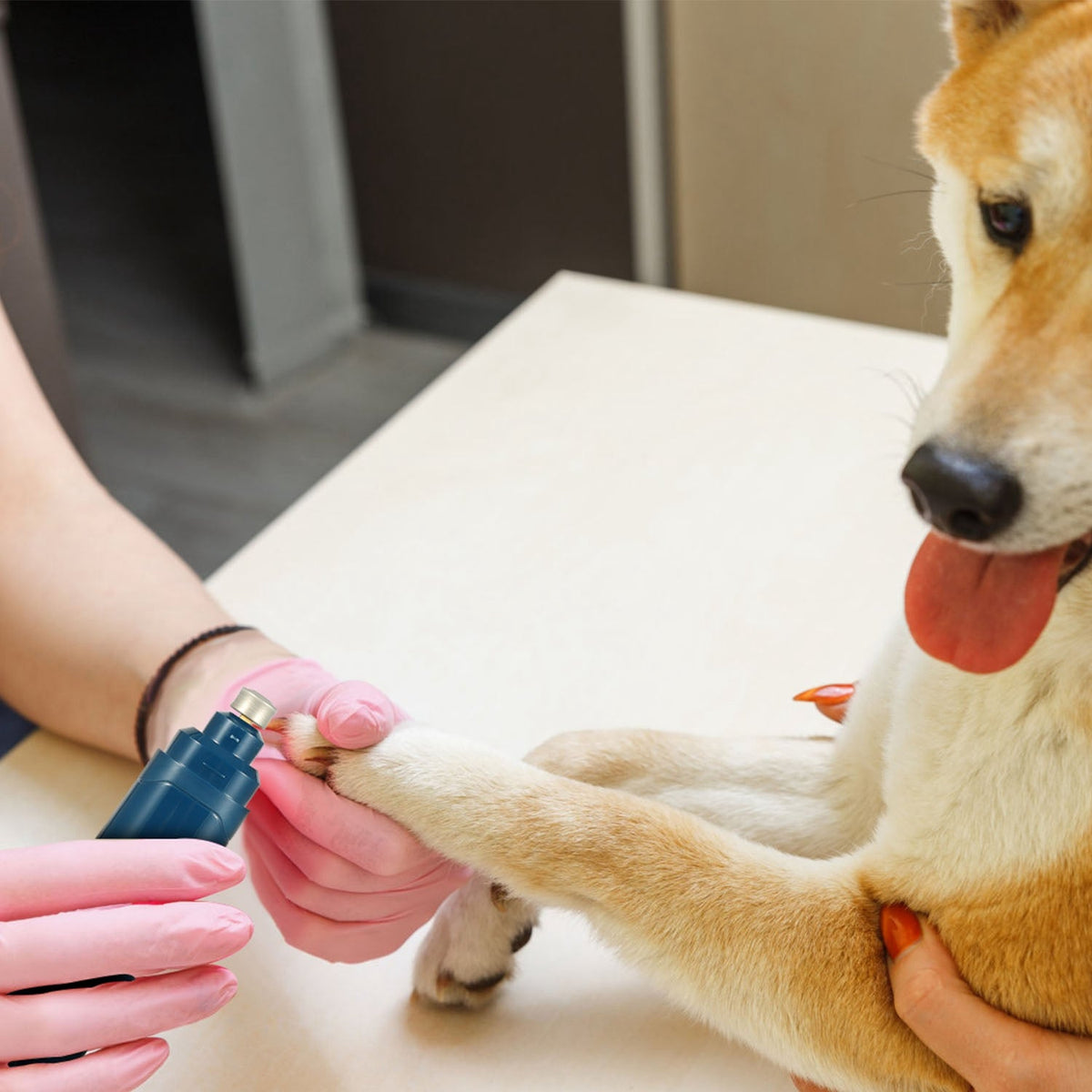 Quiet Dog Nail Grinder — USB Rechargeable 2-Speed Pet Nail Trimmer