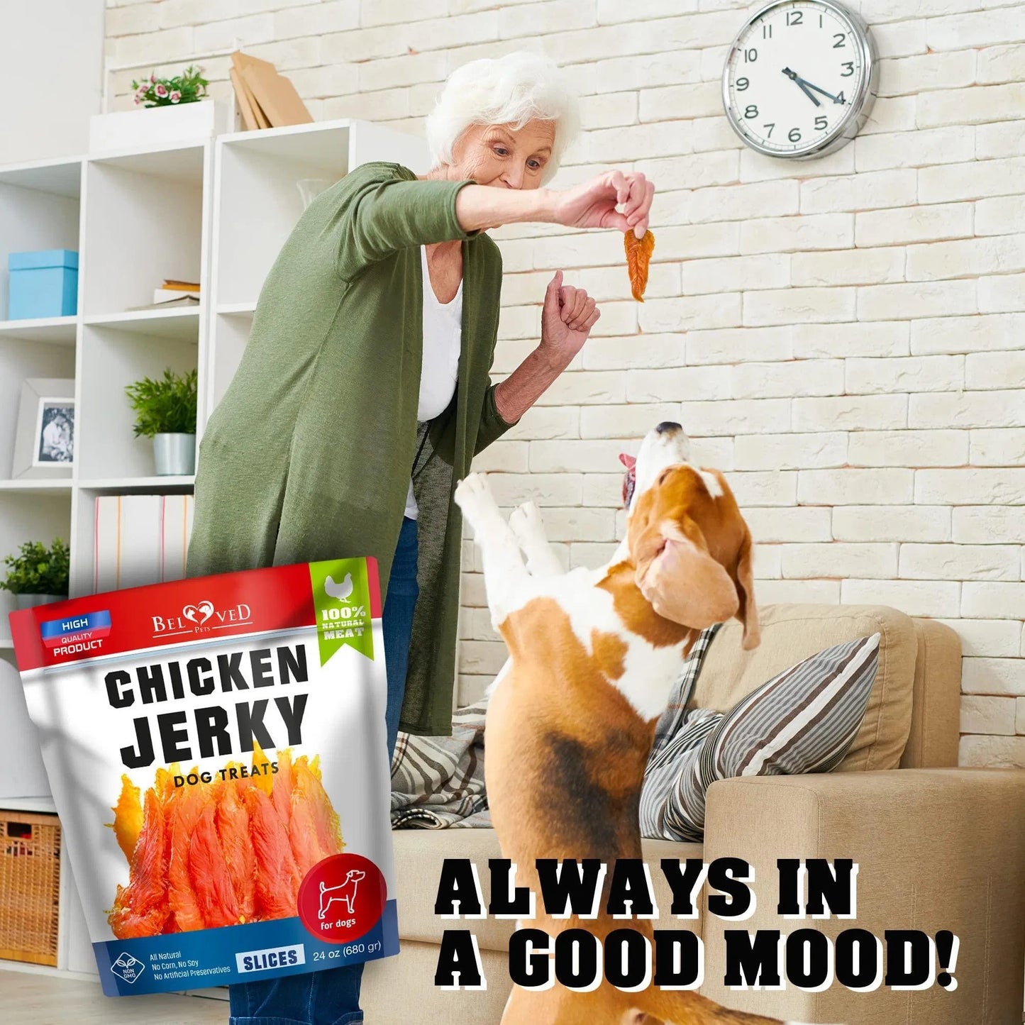 Chicken Jerky Dog Treats 1.5 Lb Human Grade Pet Snacks Grain Free