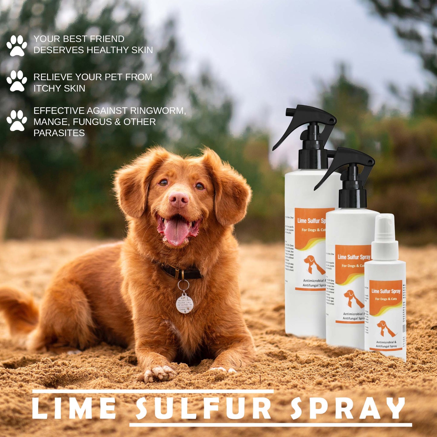 Lime Sulfur Pet Shampoo & Spray Bundle – 8 oz Set